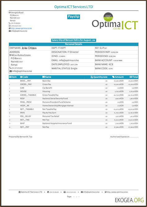 Fiche de paie INDIA OPTIMA ICT Services LTD aux formats Word et PDF